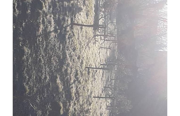 casa indipendente in vendita ad Altavilla Irpina