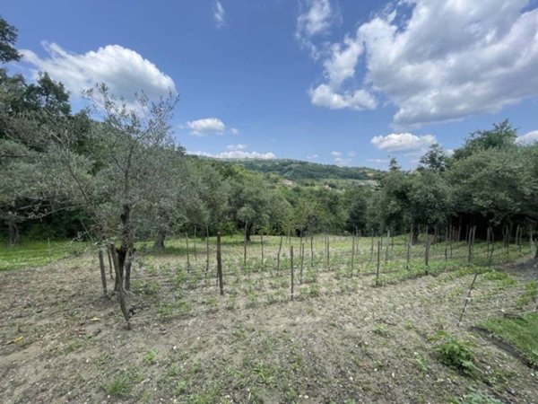 casa indipendente in vendita ad Andretta