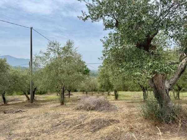 terreno agricolo in vendita ad Andretta