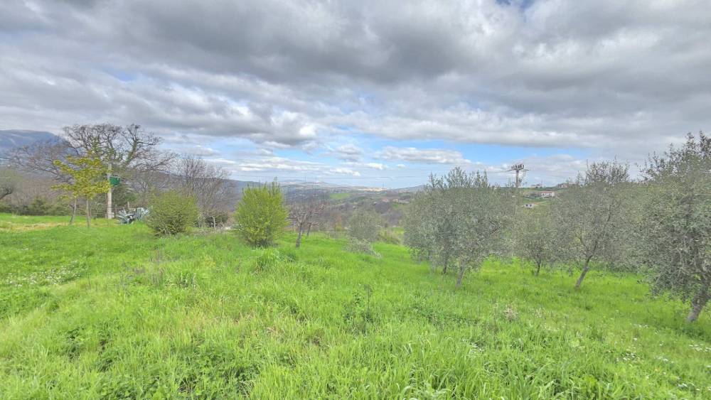 terreno agricolo in vendita ad Andretta