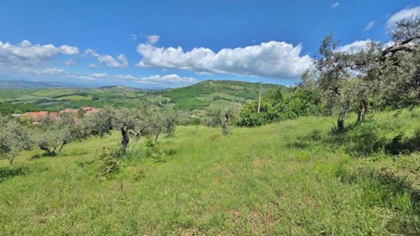 terreno agricolo in vendita ad Andretta