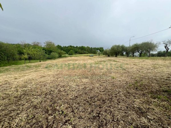 terreno edificabile in vendita ad Andretta