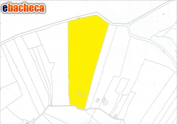 terreno agricolo in vendita ad Ariano Irpino