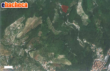 terreno agricolo in vendita ad Ariano Irpino