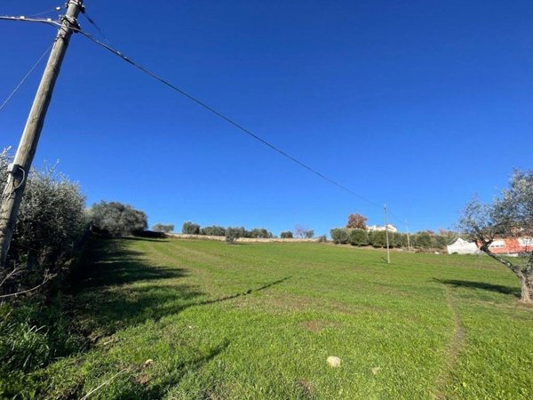 terreno agricolo in vendita ad Ariano Irpino in zona Cardito