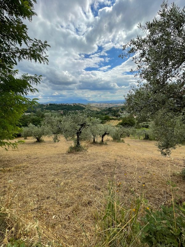terreno agricolo in vendita ad Ariano Irpino