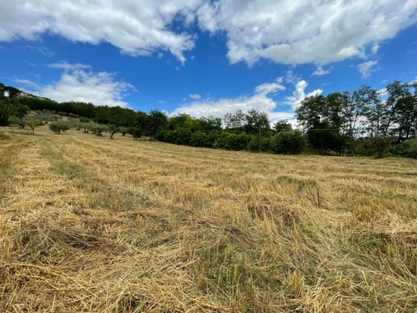 terreno agricolo in vendita ad Ariano Irpino