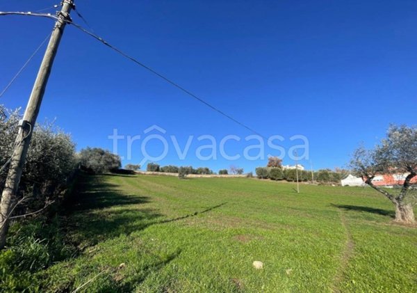 casa indipendente in vendita ad Ariano Irpino in zona Cardito