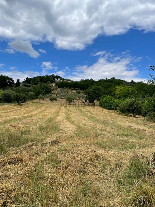 terreno agricolo in vendita ad Ariano Irpino