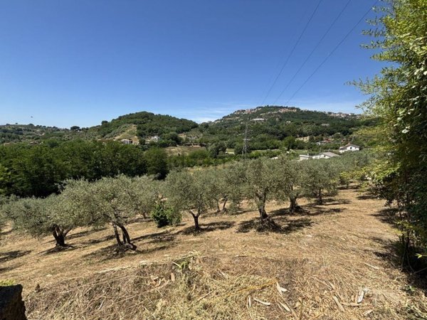 terreno agricolo in vendita ad Ariano Irpino