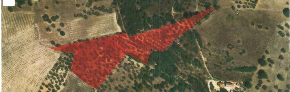 terreno agricolo in vendita ad Ariano Irpino in zona San Liberatore