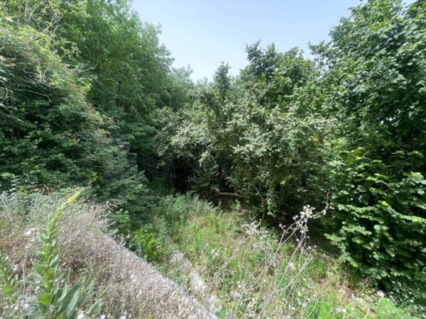terreno agricolo in vendita ad Atripalda