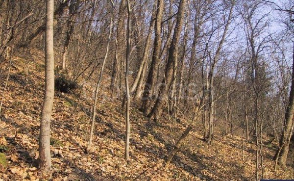 terreno agricolo in vendita ad Atripalda
