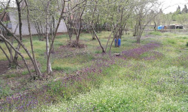 terreno agricolo in vendita ad Atripalda
