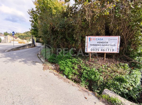 terreno agricolo in vendita ad Atripalda