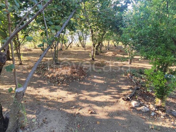 terreno agricolo in vendita ad Atripalda