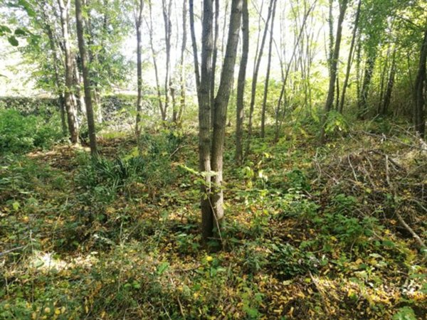 rudere in vendita ad Atripalda