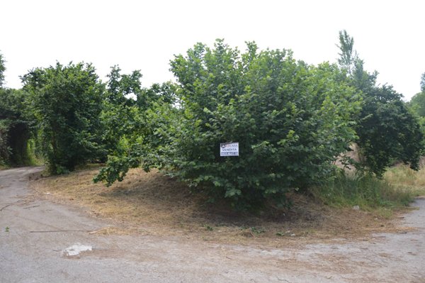 terreno agricolo in vendita ad Atripalda