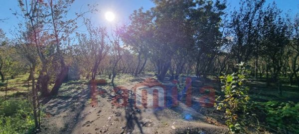 terreno agricolo in vendita ad Avella