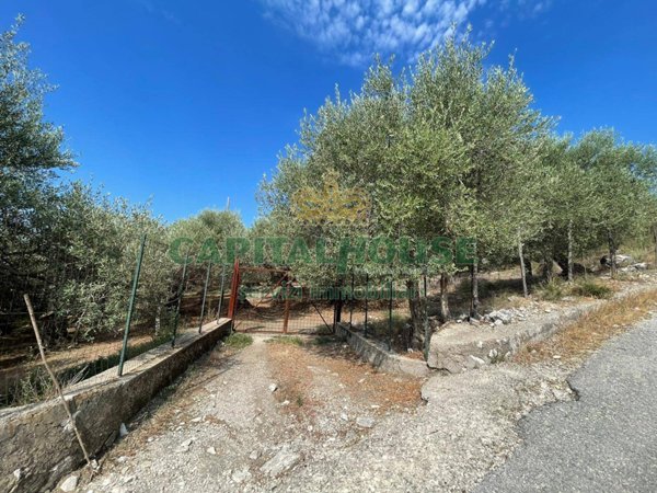terreno agricolo in vendita ad Avella