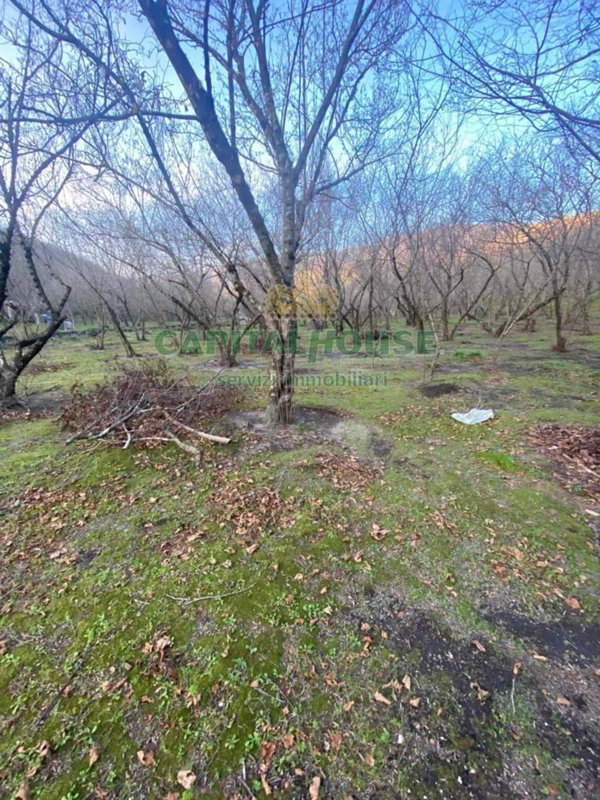 terreno agricolo in vendita ad Avella
