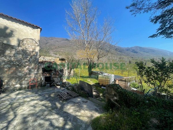 terreno agricolo in vendita ad Avella