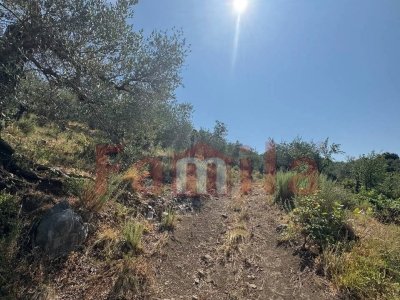 terreno agricolo in vendita ad Avella