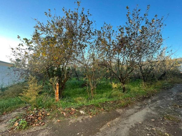 terreno edificabile in vendita ad Avella