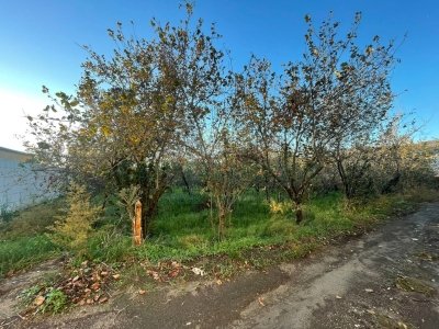 locale commerciale in vendita ad Avella