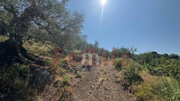 terreno agricolo in vendita ad Avella