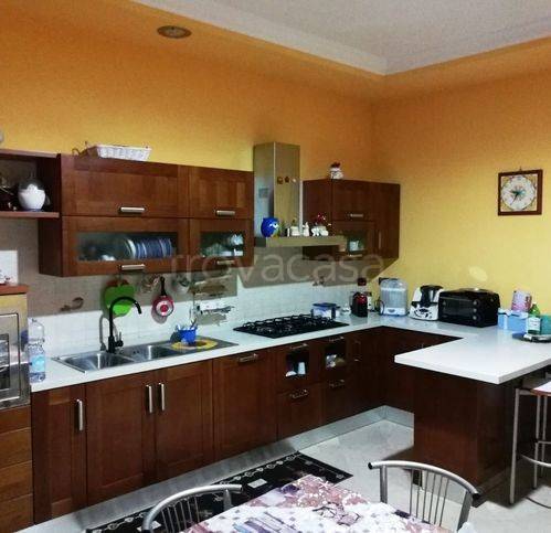 immagine annuncio 0 di 15