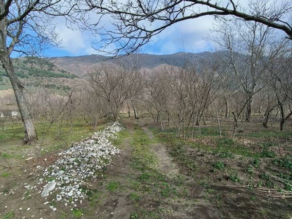 terreno agricolo in vendita ad Avella