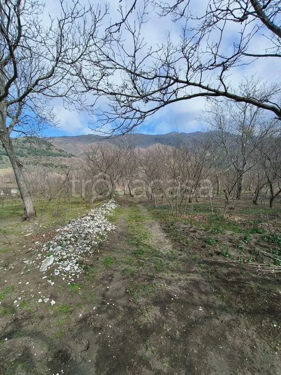 terreno agricolo in vendita ad Avella
