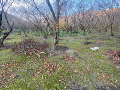 terreno agricolo in vendita ad Avella
