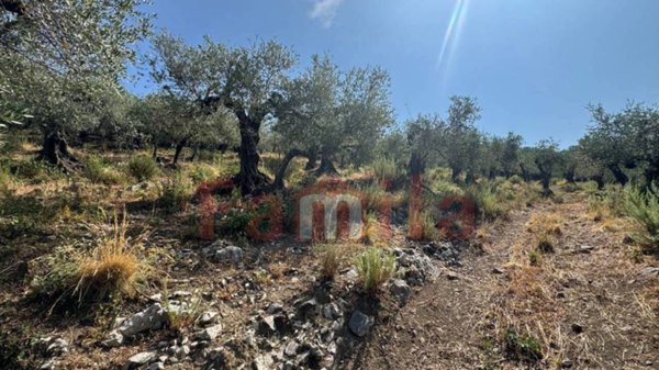 terreno agricolo in vendita ad Avella