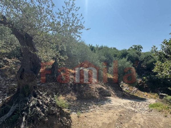 terreno agricolo in vendita ad Avella