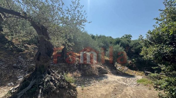terreno agricolo in vendita ad Avella