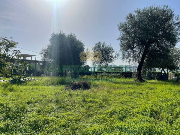 terreno agricolo in vendita ad Avella in zona Purgatorio