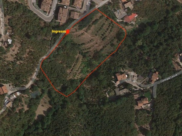 terreno agricolo in vendita ad Avellino