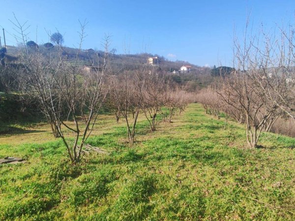terreno agricolo in vendita ad Avellino