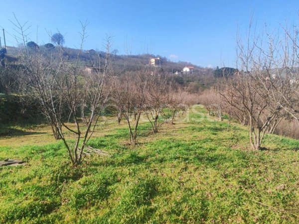 terreno agricolo in vendita ad Avellino