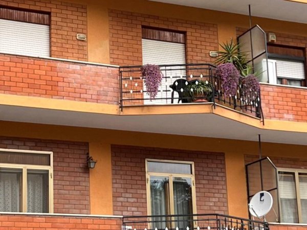 appartamento in vendita ad Avellino