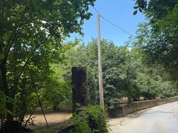 terreno agricolo in vendita ad Avellino