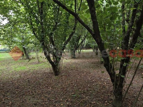 terreno agricolo in vendita ad Avellino
