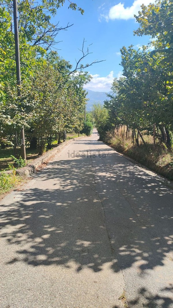 terreno agricolo in vendita ad Avellino