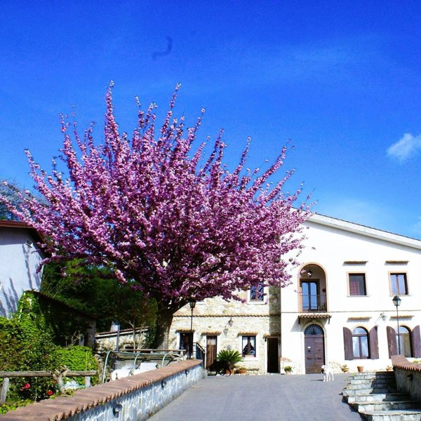casa indipendente in vendita ad Avellino