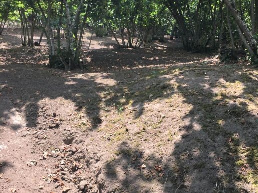 appartamento in vendita ad Avellino in zona Picarelli