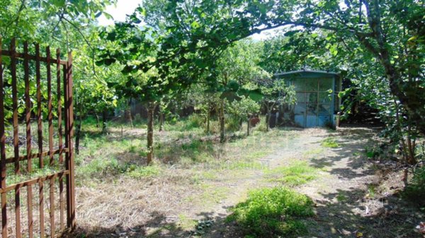 terreno agricolo in vendita a Baiano