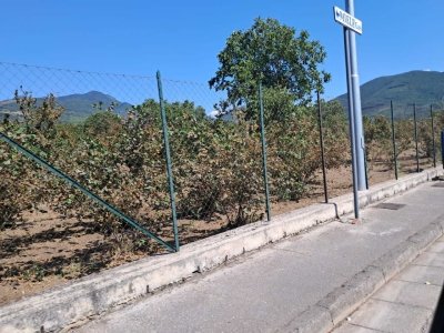 terreno agricolo in vendita a Baiano