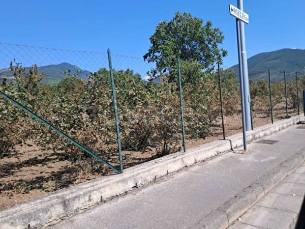 terreno agricolo in vendita a Baiano